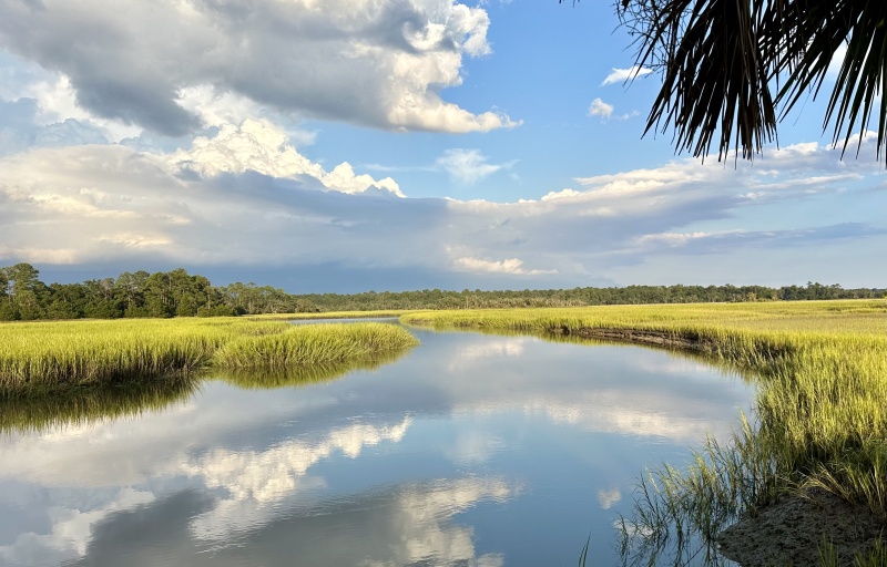 lowcountry image from lost island