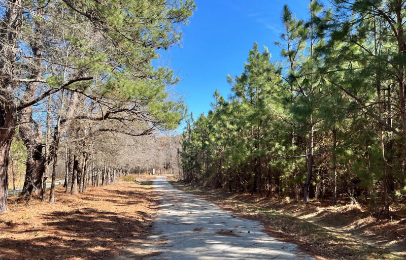 Viking greenway trail