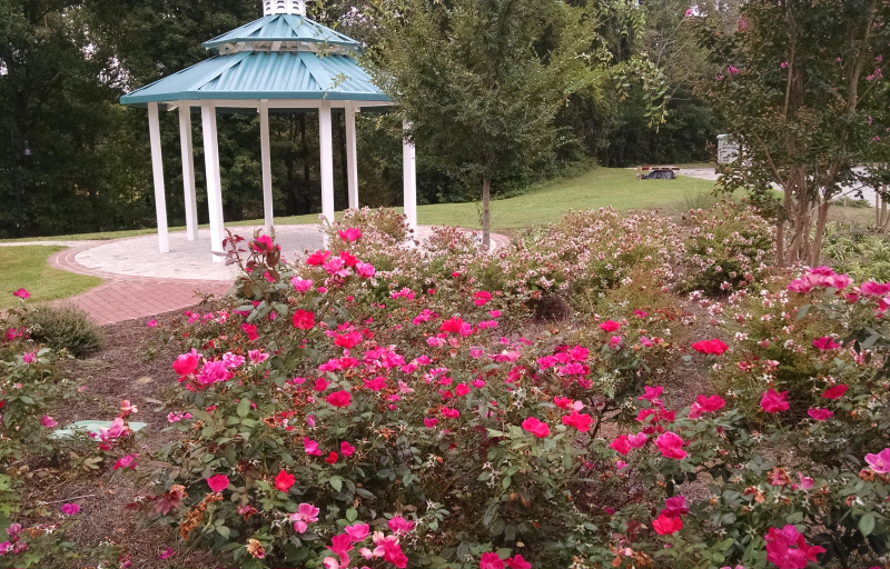 Flowers and gazebo and Stevens Park