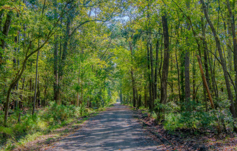 Pine Trace Park Central Trail
