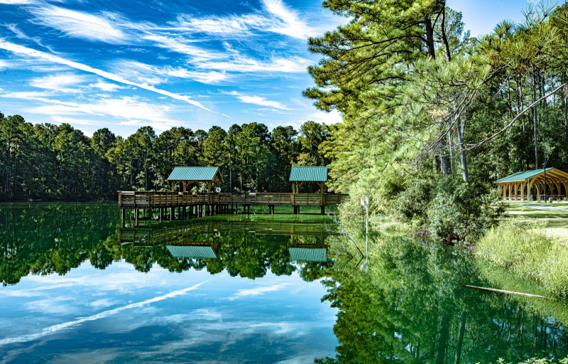 Pine Trace Park Pond