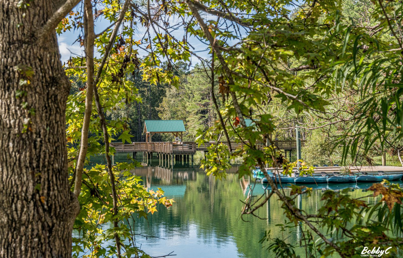Pine Trace Park kayaks