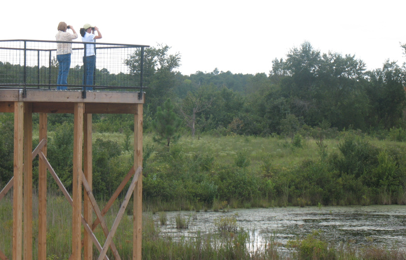 Oxpen observation tower - Photo by USFWS