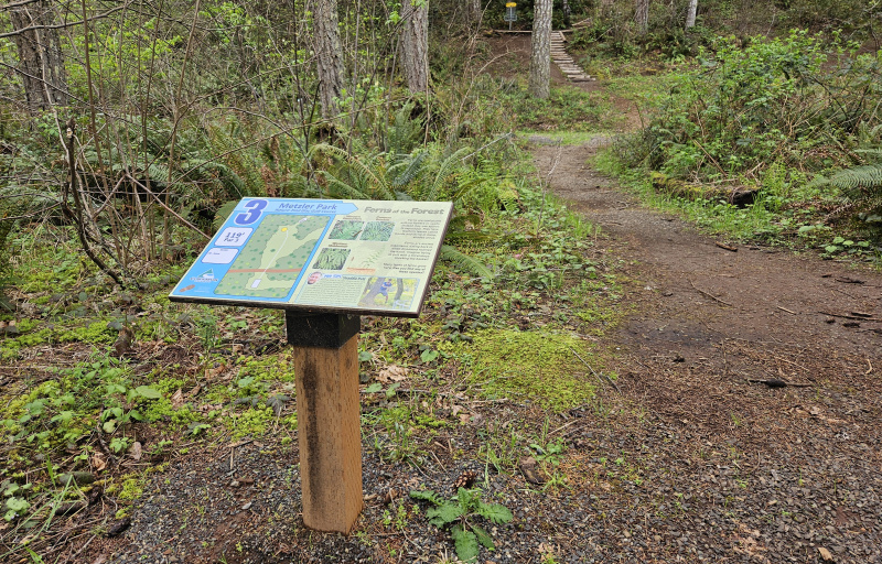 Hole 3 at Metzler Nature Trail Disc Golf Course
