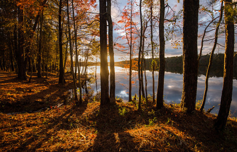 Cheraw State Park - Provided by SC State Parks