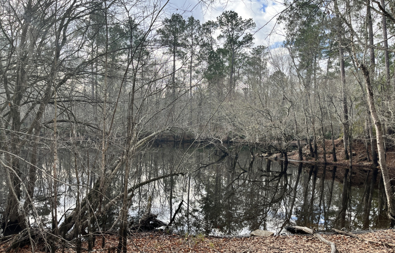 Black River - Gilland Memorial Park