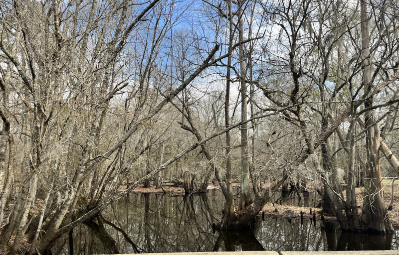 Black River - Gilland Memorial Park