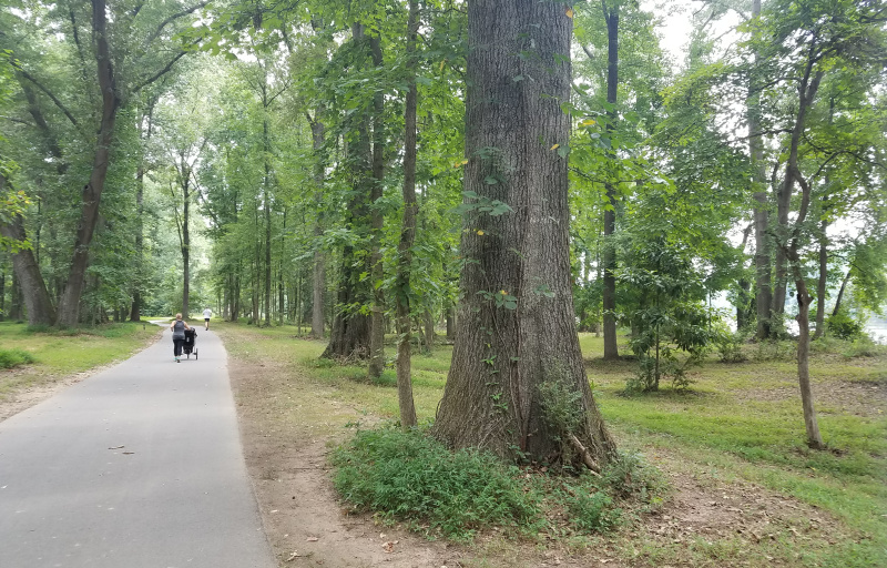 Catawba River Trail 