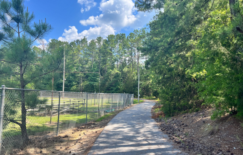 Shaded, paved trail at Pete Smith
