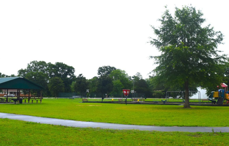 Walking Track at Dennis