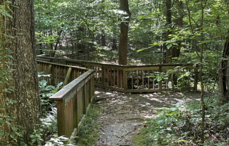 Trail at York Co