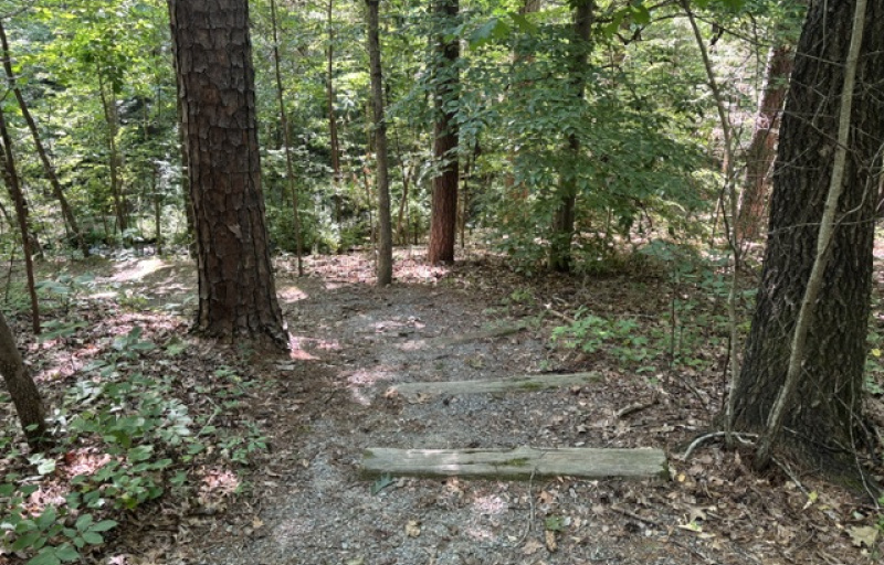 Steps down trail
