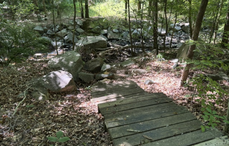 Steps down trail