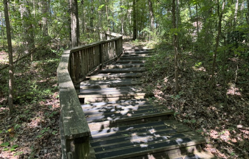 Bridge on trail