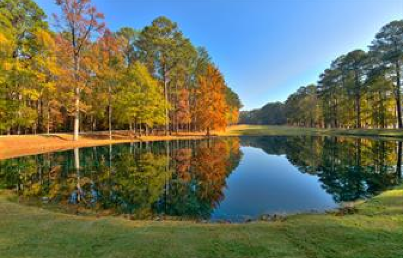 Reflection on the lake