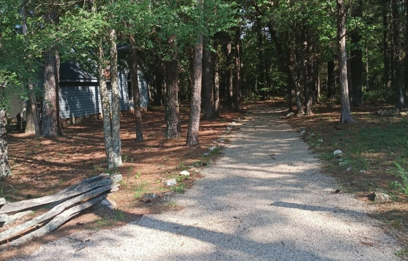 Trail at Andrew Jackson 
