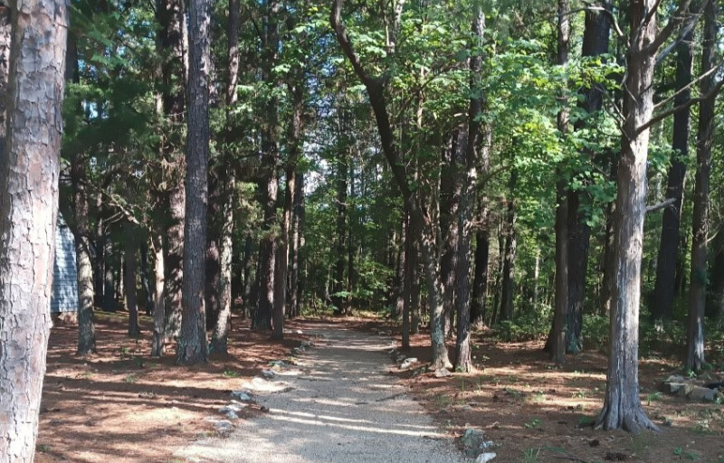 Trail at Andrew Jackson 