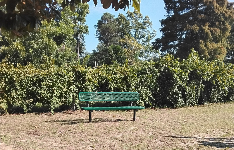 Bench in park
