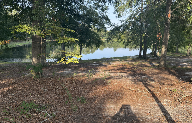 Pond along trail