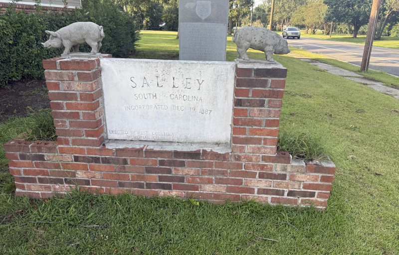 Salley Town Sign