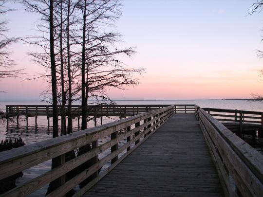 Boardwalk by Phelps Lake