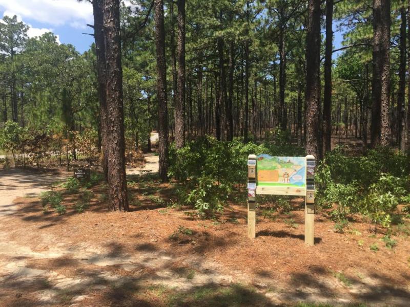 Weymouth Woods TRACK Trail