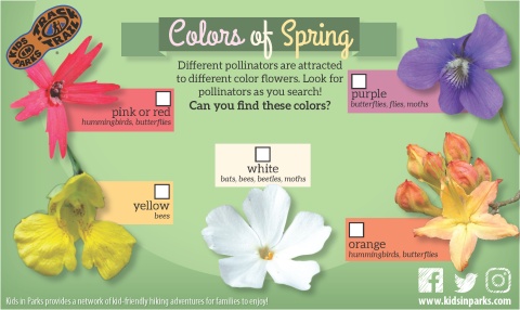 Colors of Spring TRACKtivity