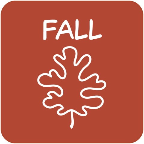 Fall TRACKtivity Icon