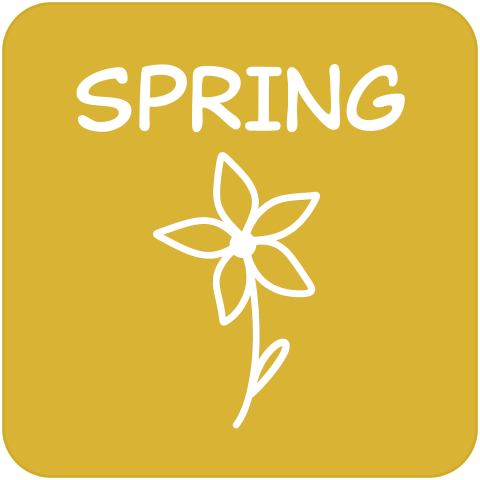 Spring TRACKtivity Icon