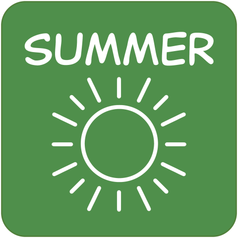 Summer TRACKtivity Icon