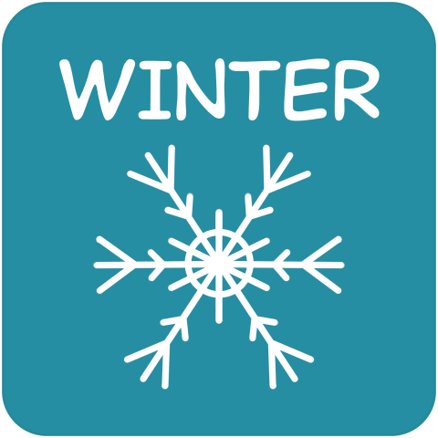 Winter TRACKtivity Icon