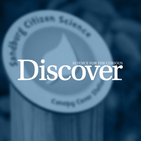 Discover Logo