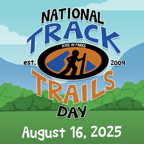 NTTD Social Media post for 2025