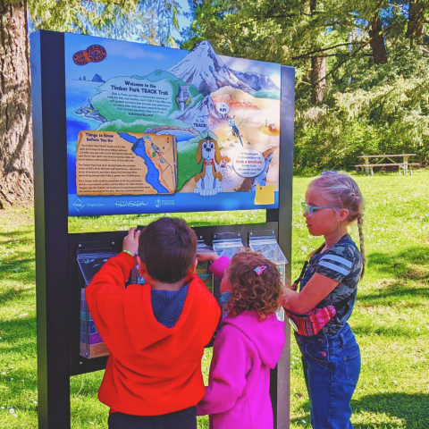 Three kids look at the Timber Park track trail kiosk