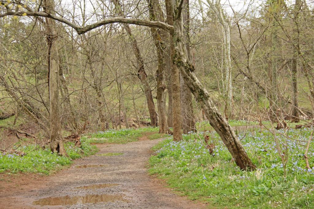 Manassas National Battlefield S Stone Bridge Trail Kids In Parks