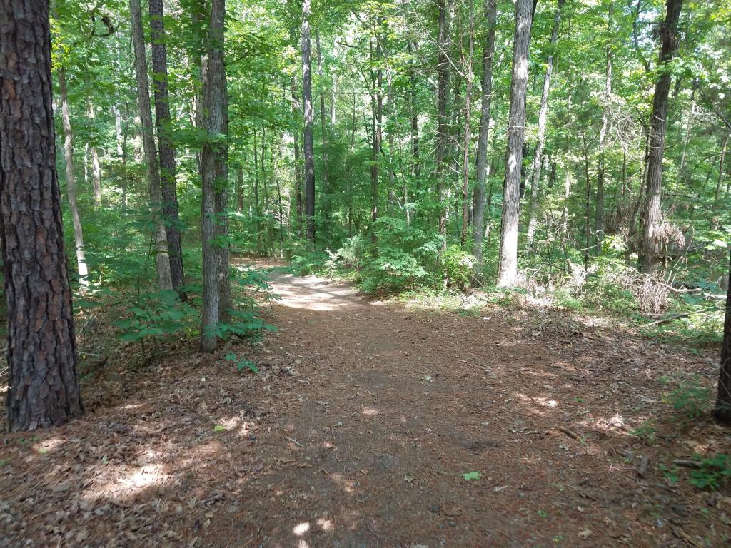 Whippoorwill Park | Kids in Parks