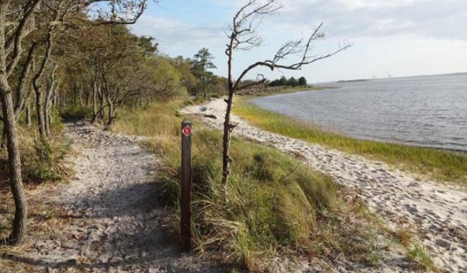 Carolina Beach State Park Kids In Parks Sandy Path Along Water