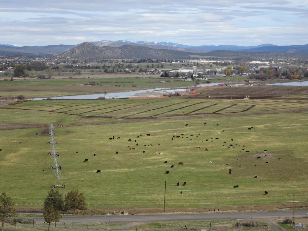 Crooked River Wetlands Complex Kids in Parks