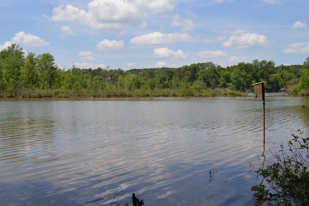 Latta Plantation Nature Preserve Kids in Parks