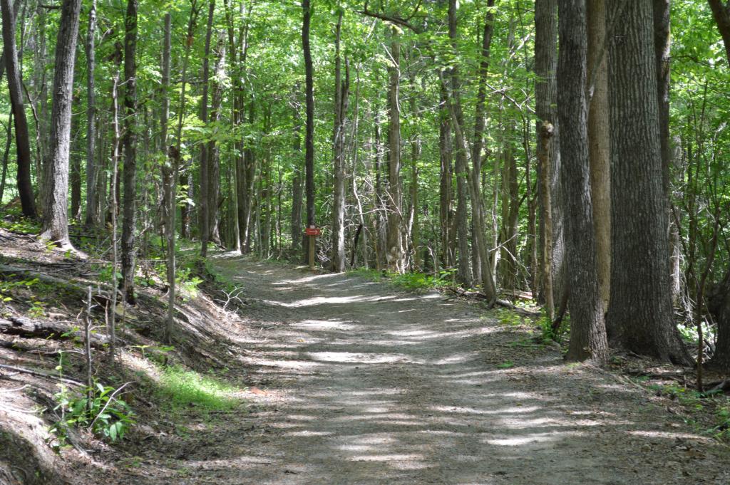 Latta Plantation Nature Preserve Kids in Parks