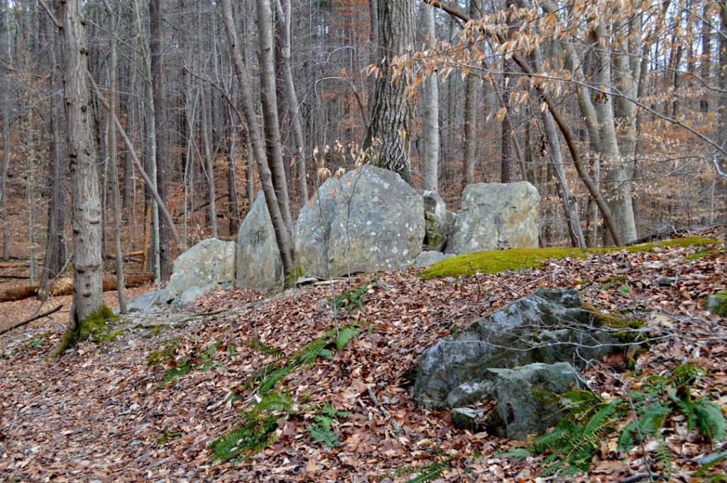 William B Umstead State Park - DSC 0110.JPG