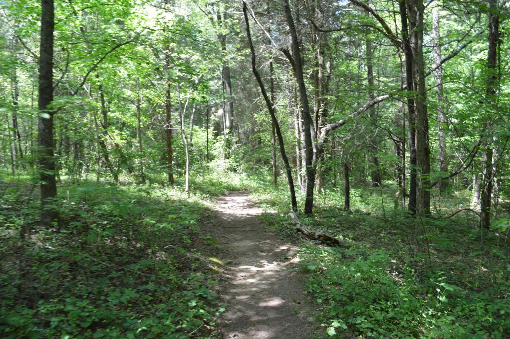 Latta Plantation Nature Preserve Kids in Parks