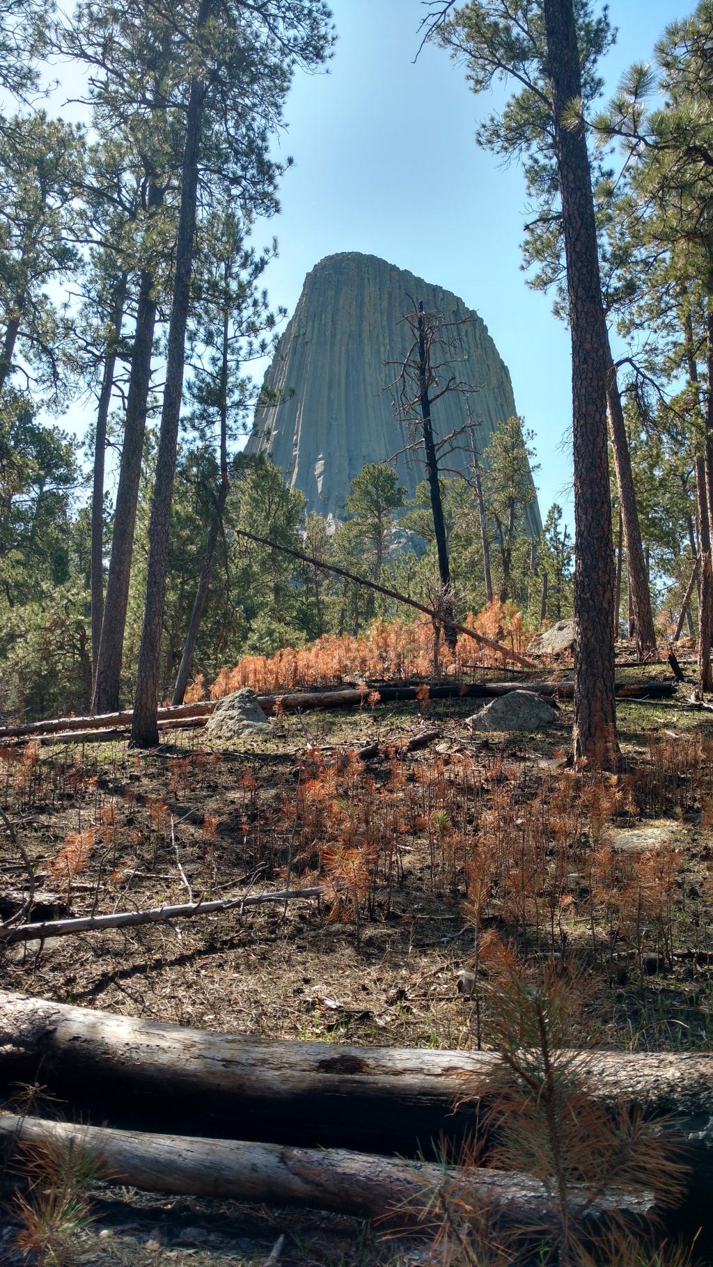 Devils Tower National Monument | Kids In Parks