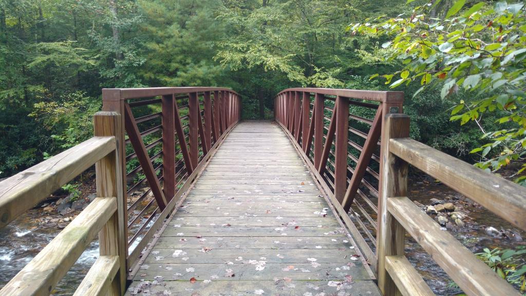 Nantahala National Forest Fires Creek Kids in Parks