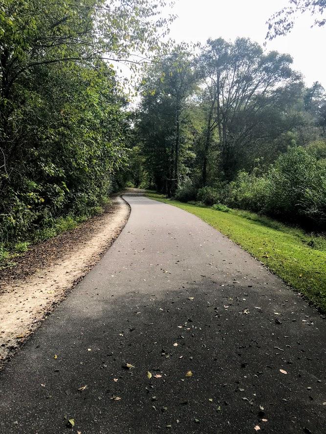 Mulberry Fields at West Park Kids in Parks