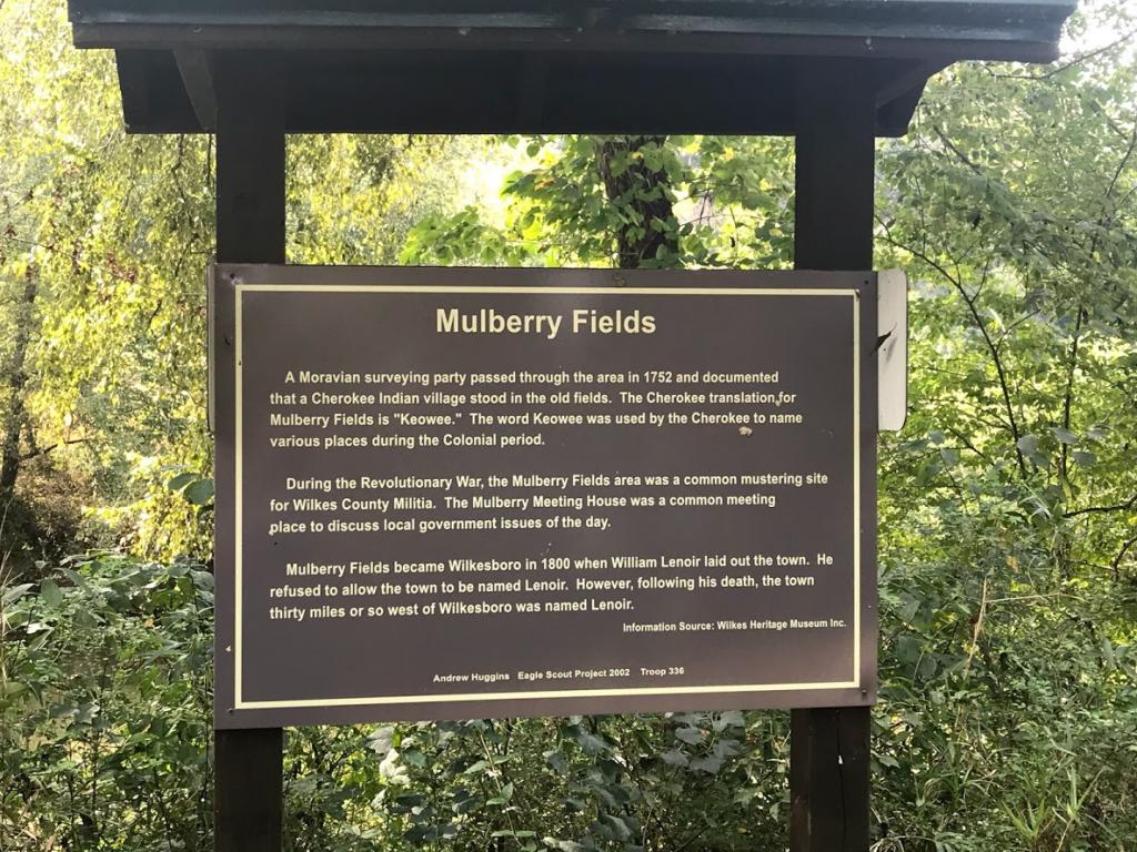 Mulberry Fields at West Park Kids in Parks