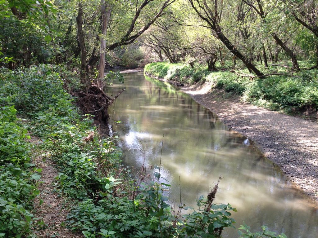Union Grove State Park Kids in Parks