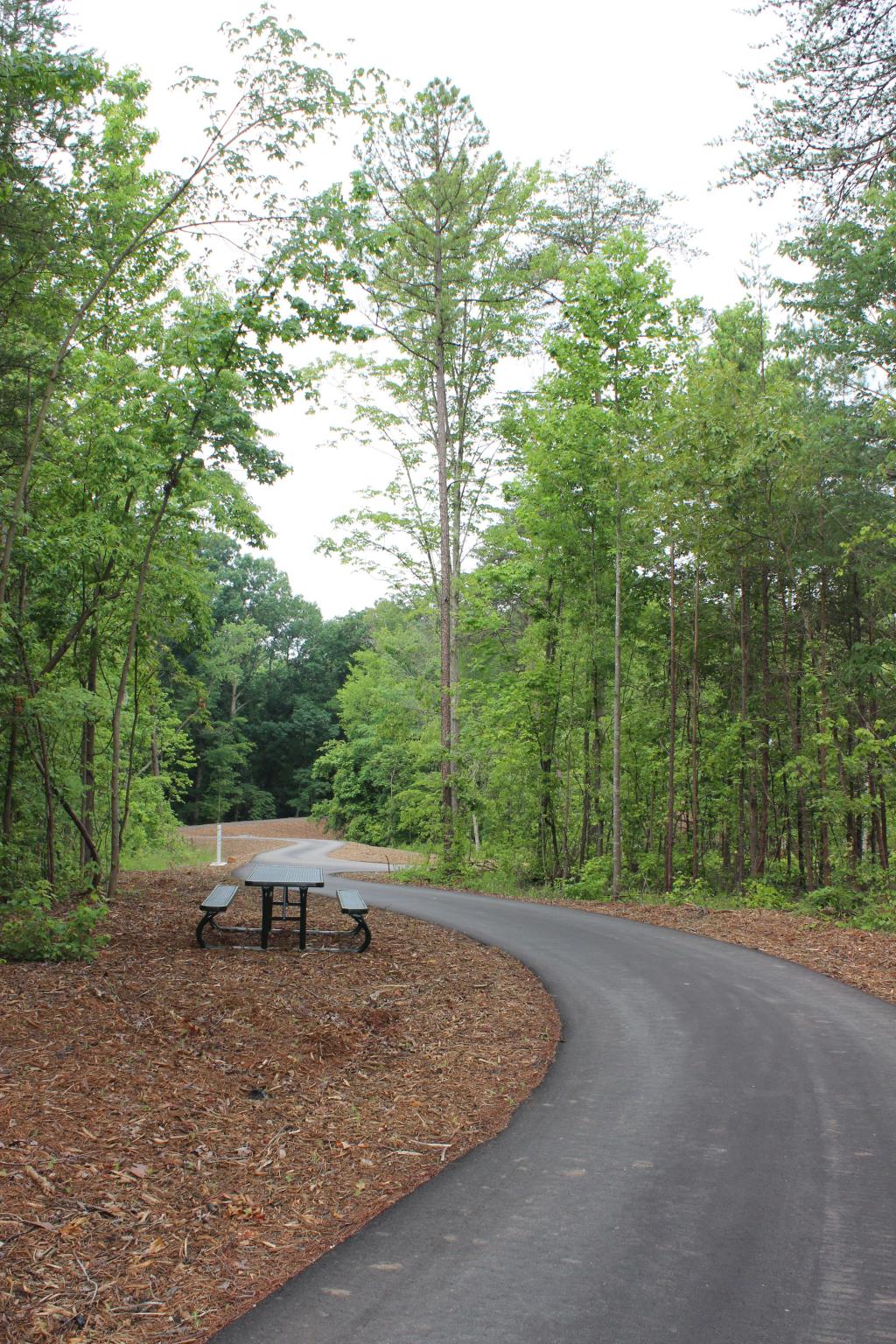 Rock Springs Nature Preserve Kids in Parks