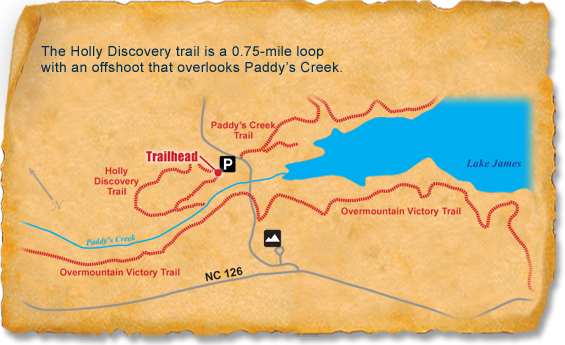 Map of TRACK Trail at Lake James State Park