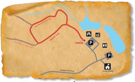 Map of TRACK Trail at Mayo River State Park